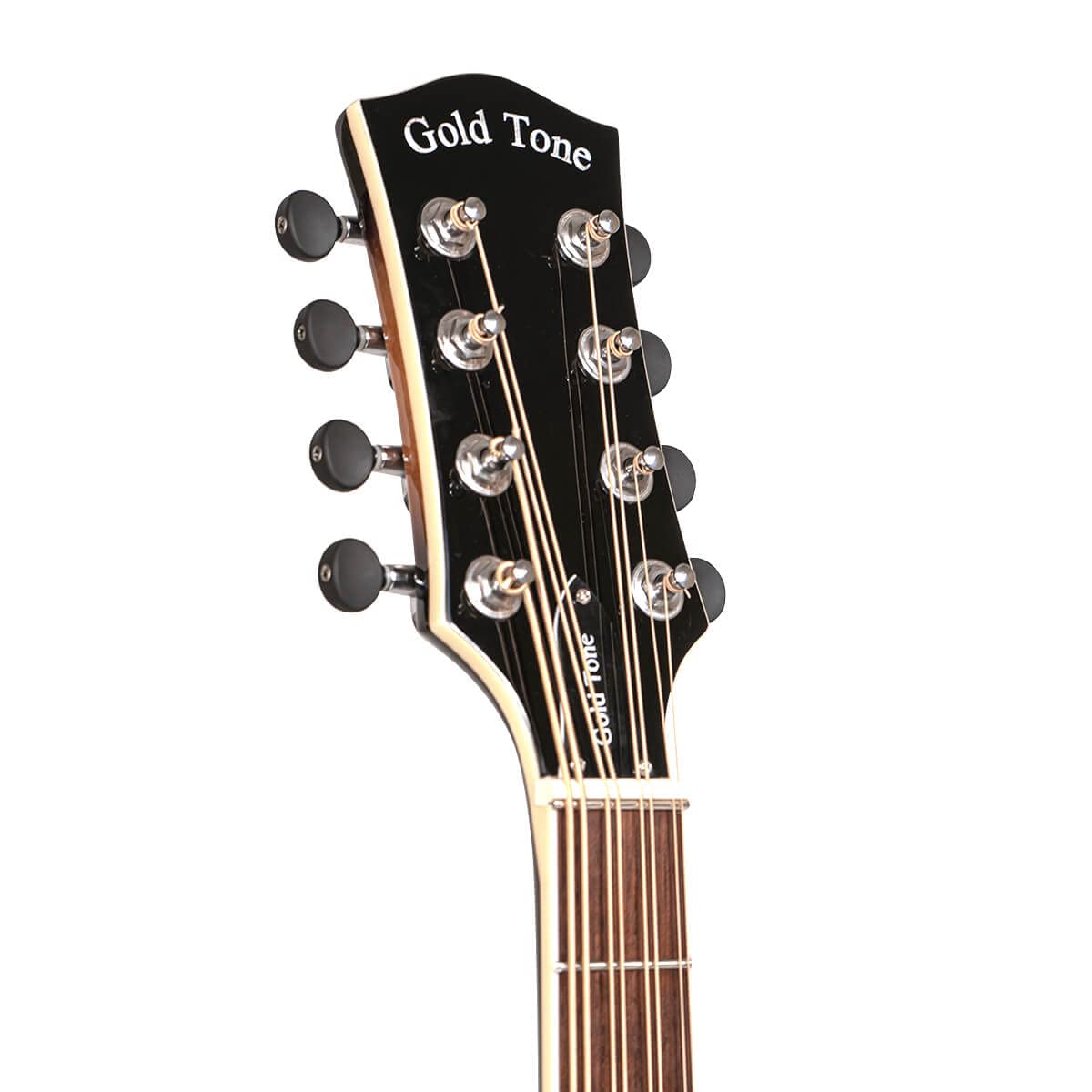 Mandocello with Pickup and Case F40705