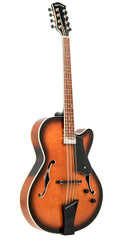 Mandocello with Pickup and Case F40705