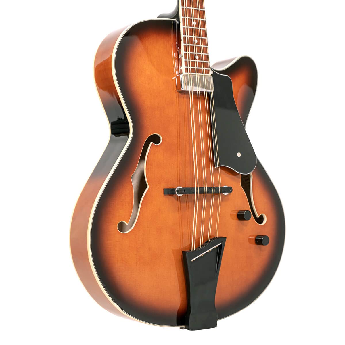 Mandocello with Pickup and Case F40705