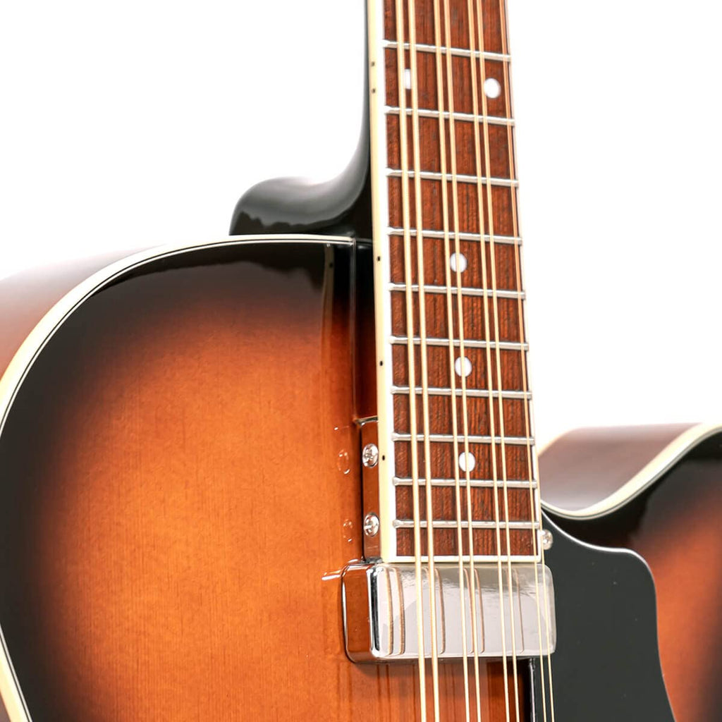 Mandocello with Pickup and Case F40705