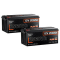 2 Pack 12V 200Ah LiFePO4 Lithium Battery 250A BMS T70383
