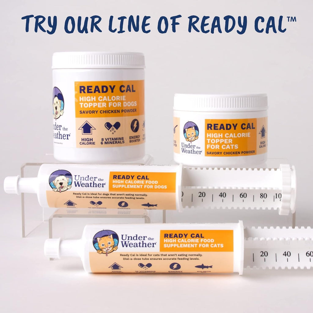 Chicken Flavor High-Calorie Cat Supplement Powder T187