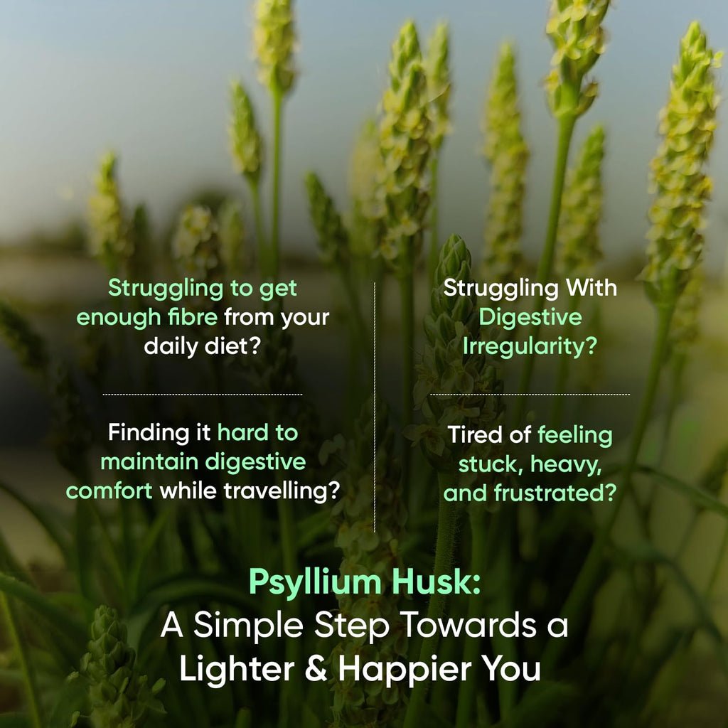Psyllium Husk Capsules 1500mg E957871