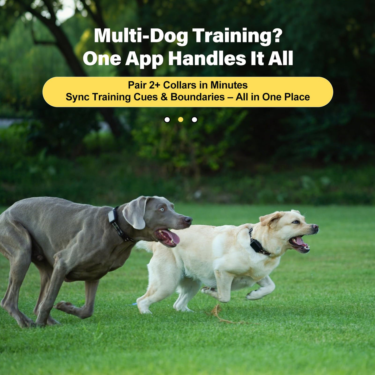 Wireless Dog Collar Fence System with Remote Training U4137