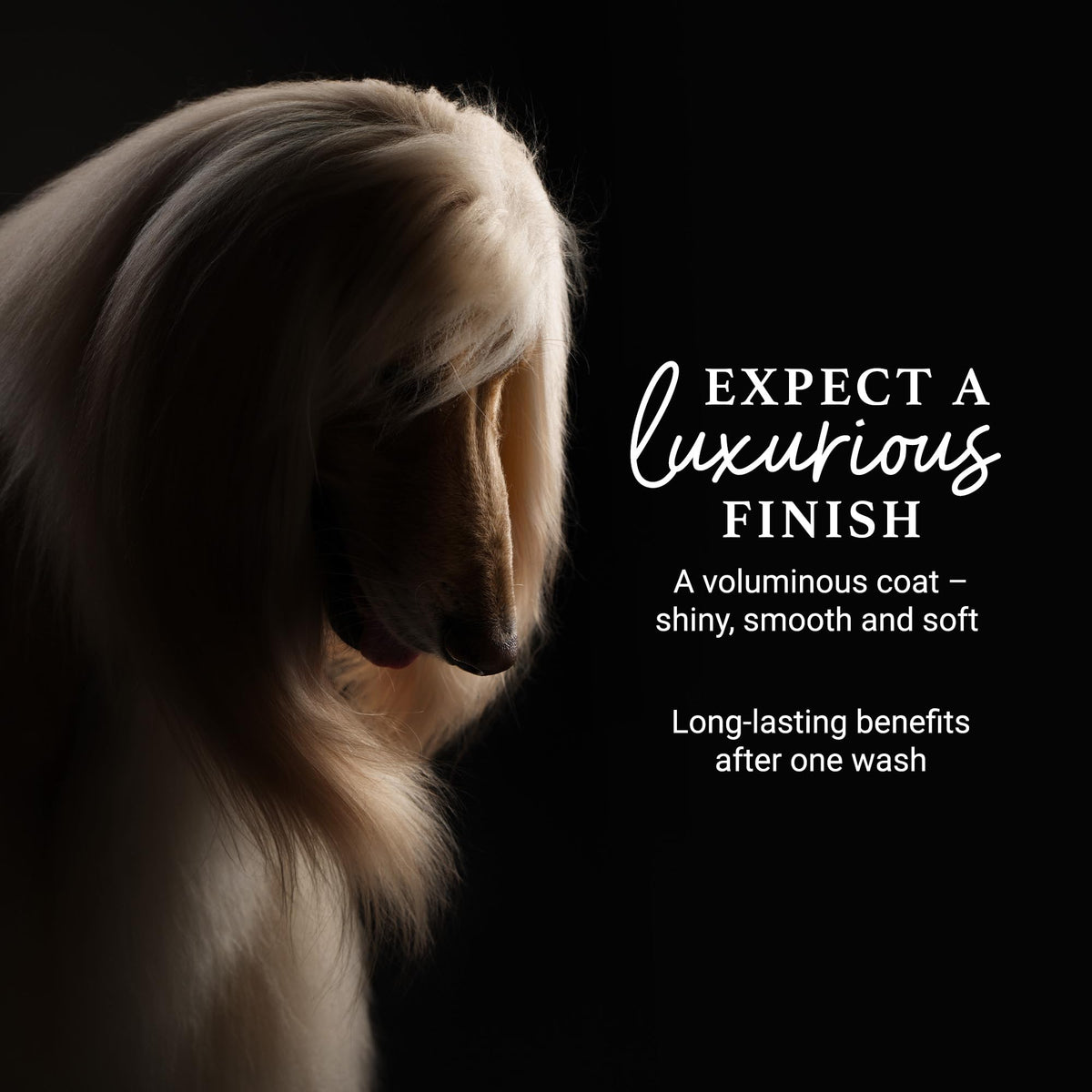 Deshedding & Detangling Dog Shampoo 1 GAL R1568
