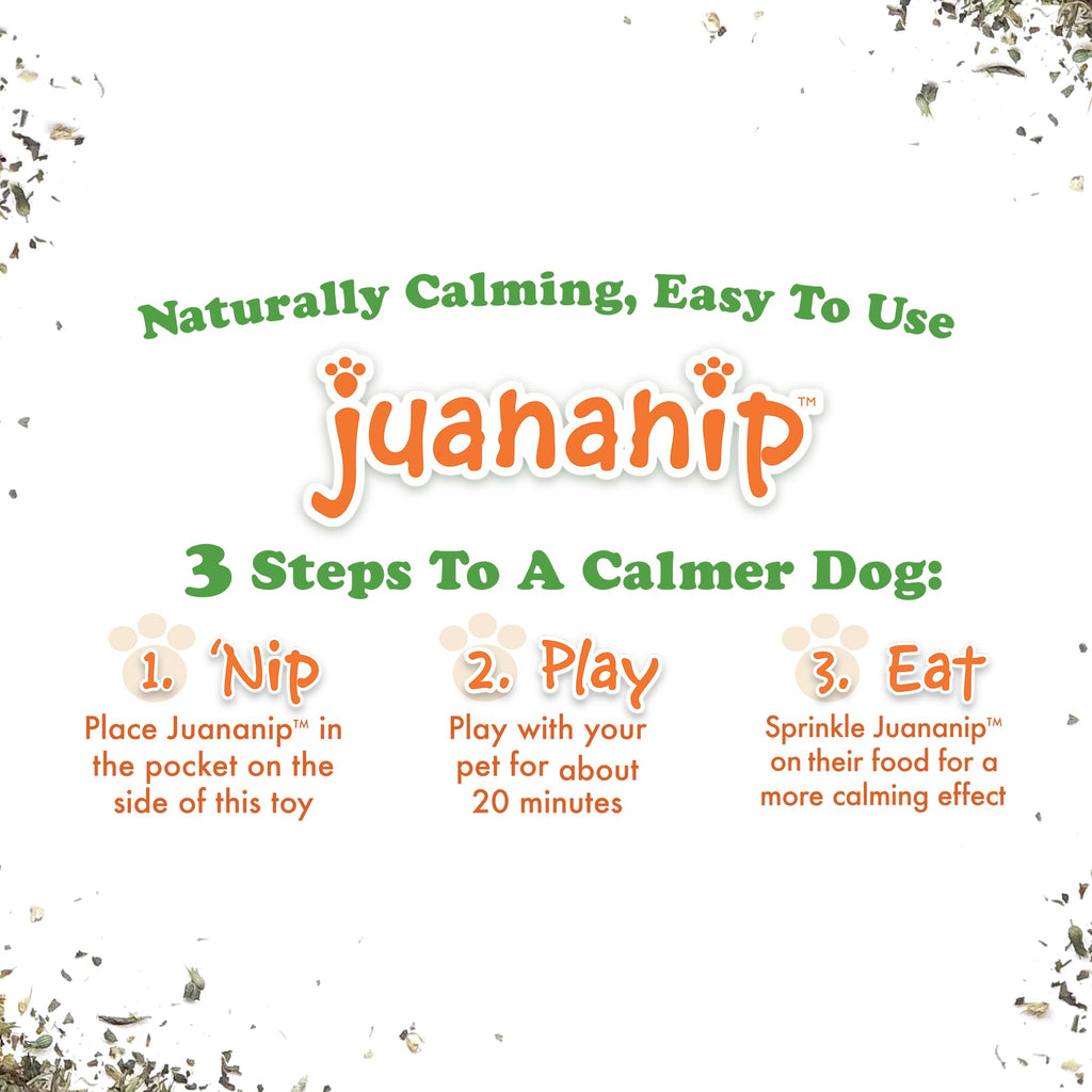 Squeaky Refillable Plush Dog Toy H482