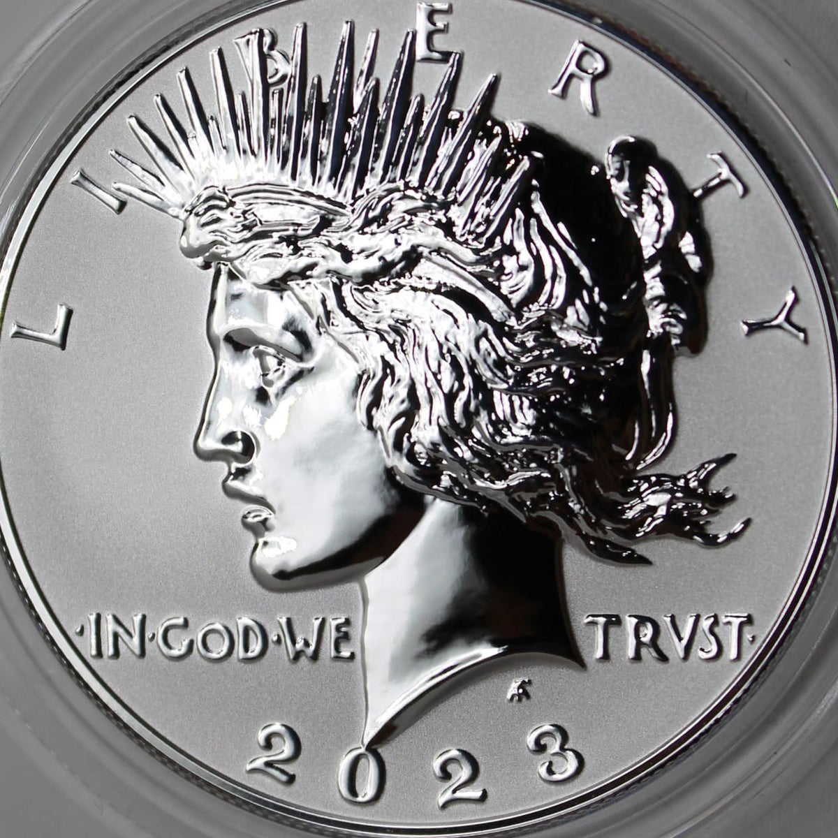 American Proof Silver Morgan and Peace $1 I269