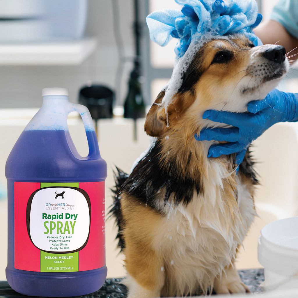 Rapid Dry Spray Gallon M540