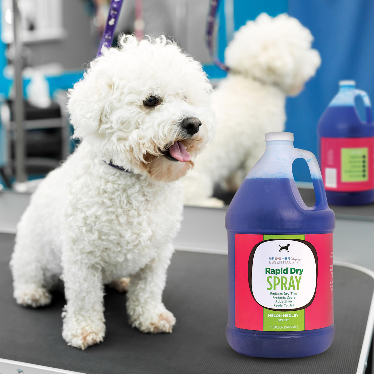 Rapid Dry Spray Gallon M540