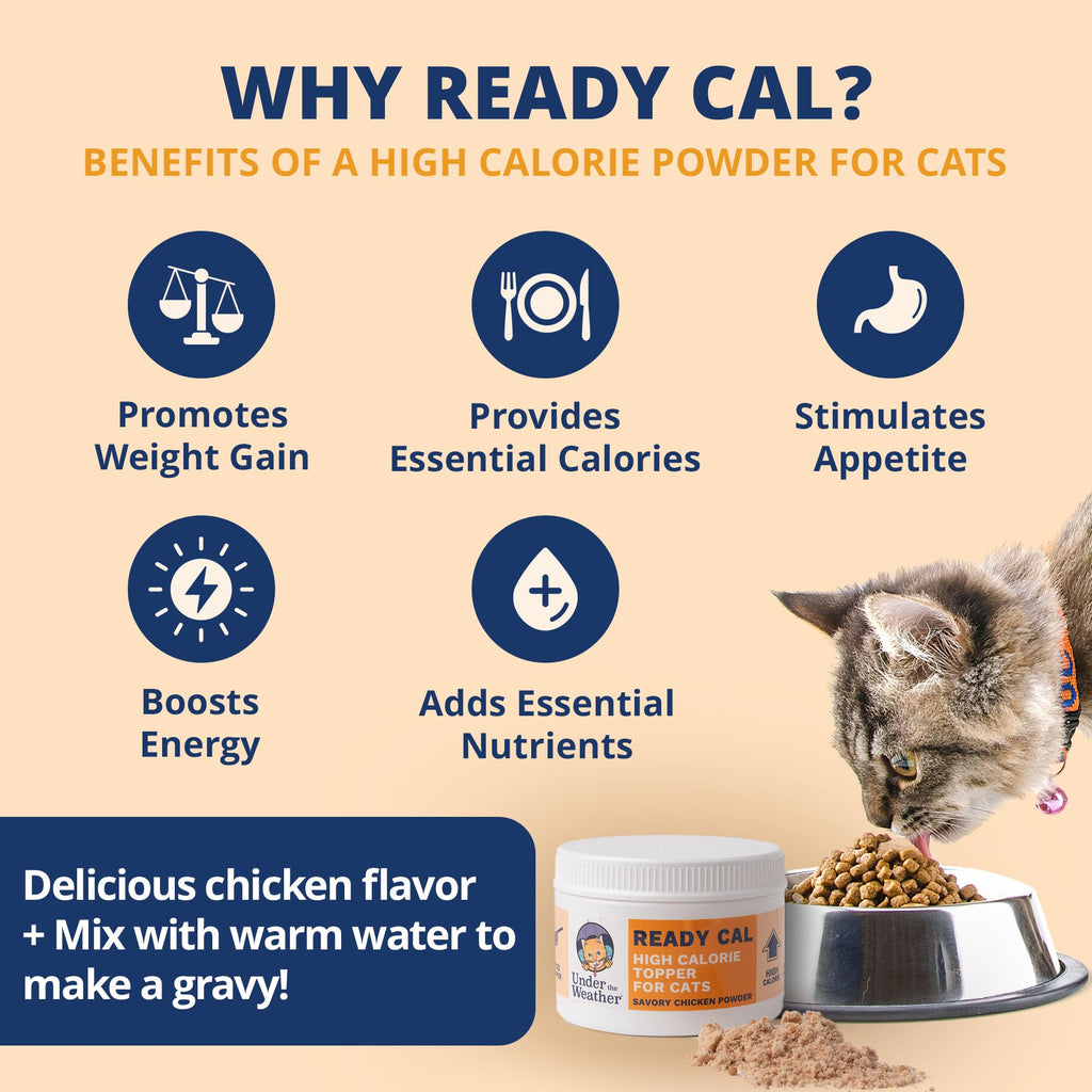 Chicken Flavor High-Calorie Cat Supplement Powder T187