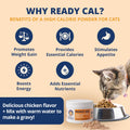 Chicken Flavor High-Calorie Cat Supplement Powder T187