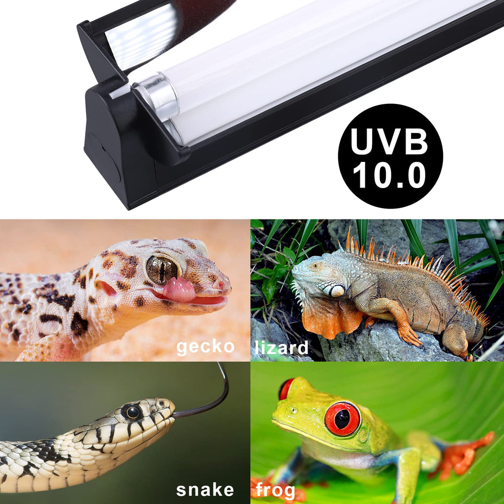 Reptile Heat Pad and UVB Light L98048