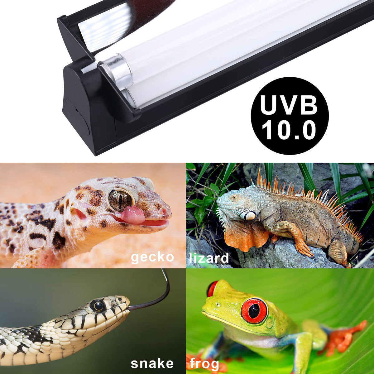 Reptile Heat Pad and UVB Light L98048