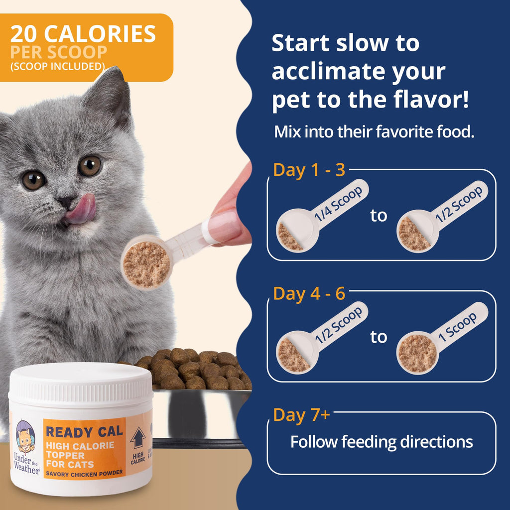 Chicken Flavor High-Calorie Cat Supplement Powder T187