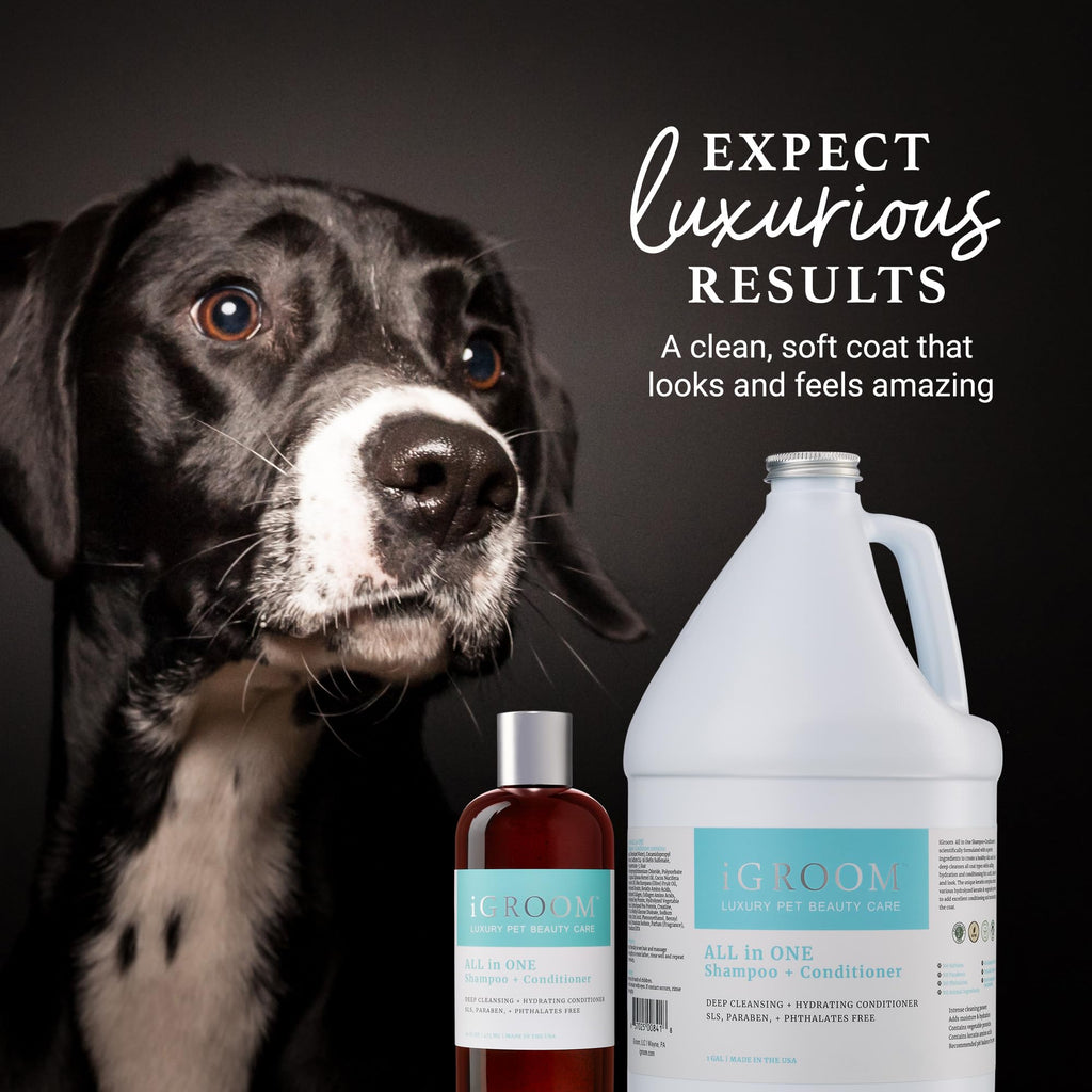 Dog Shampoo + Conditioner B39410