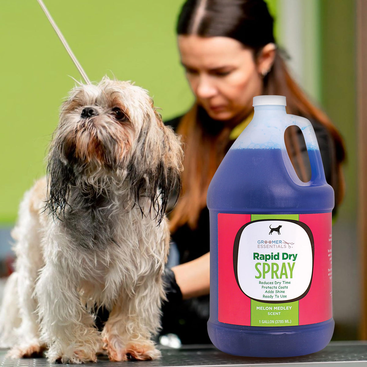 Rapid Dry Spray Gallon M540