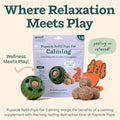 Interactive Dog Toy with 7 Refills for Medium and Large Dogs R32974