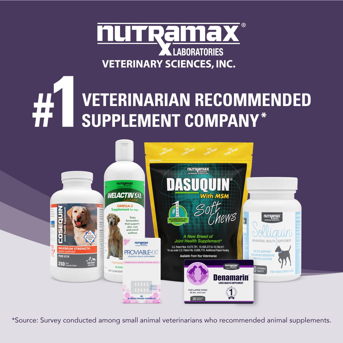 Liver Supplement for Medium Dogs, 30ct Tablets F250
