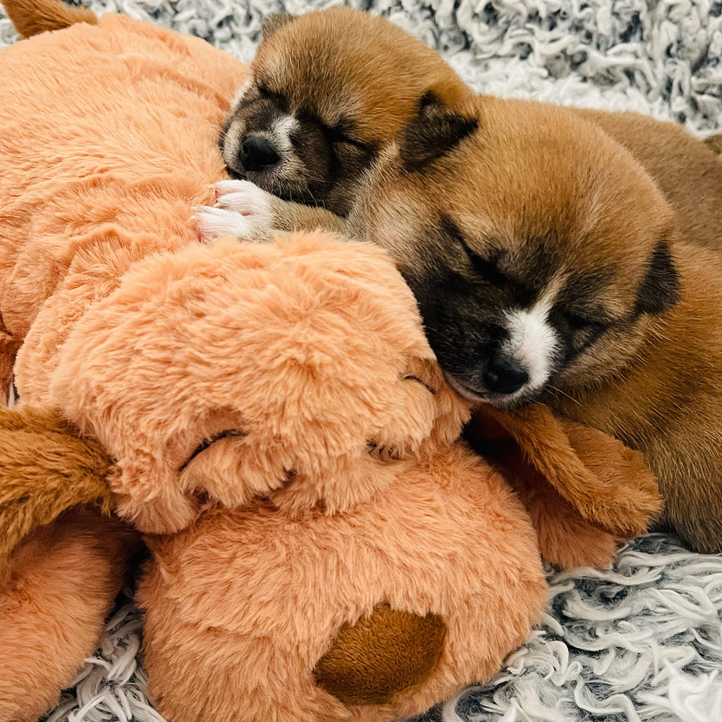 Heartbeat Toy for Medium Breeds D393