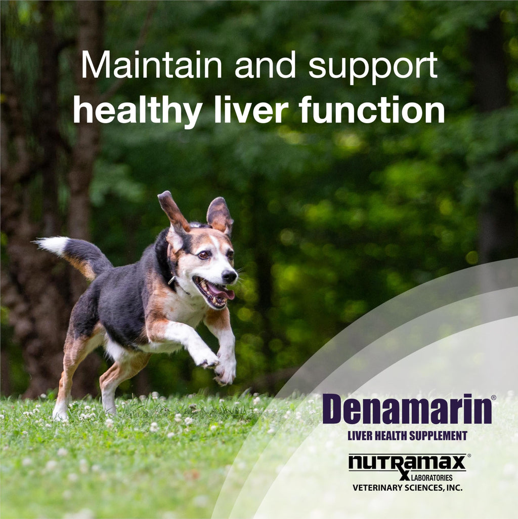 Liver Supplement for Medium Dogs, 30ct Tablets F250